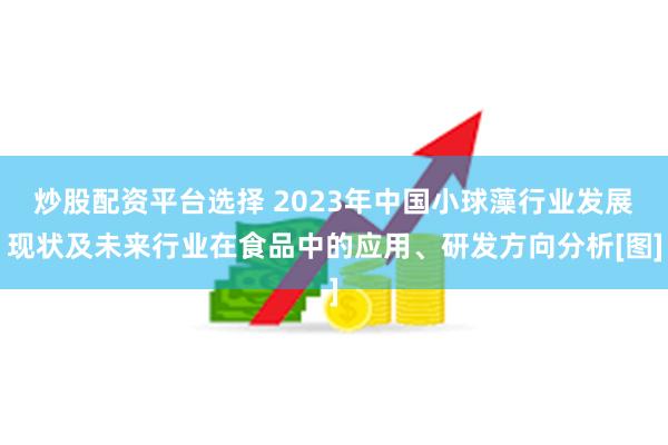 炒股配资平台选择 2023年中国小球藻行业发展现状及未来行业在食品中的应用、研发方向分析[图]