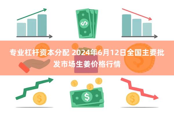 专业杠杆资本分配 2024年6月12日全国主要批发市场生姜价格行情