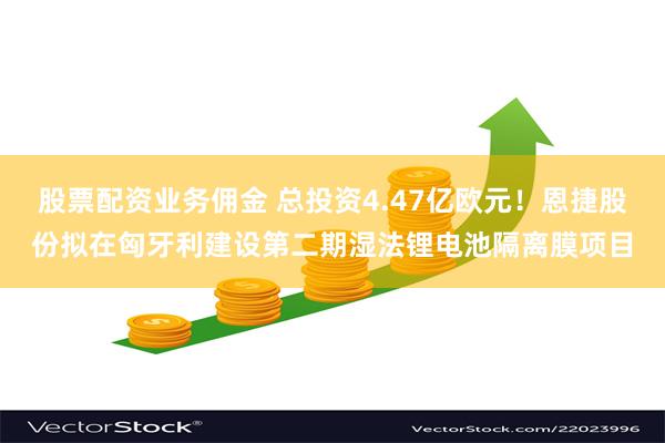 股票配资业务佣金 总投资4.47亿欧元！恩捷股份拟在匈牙利建设第二期湿法锂电池隔离膜项目