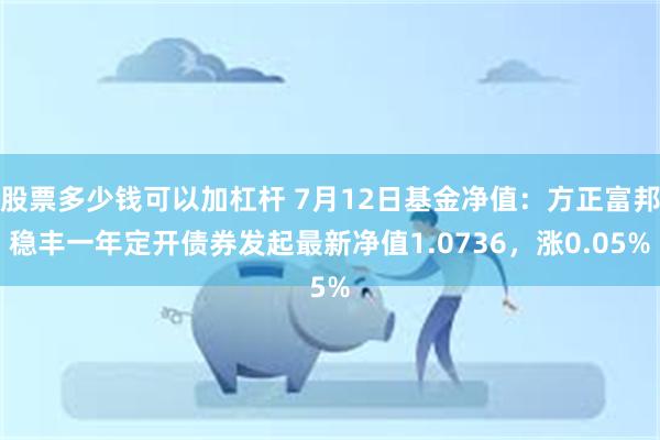 股票多少钱可以加杠杆 7月12日基金净值：方正富邦稳丰一年定开债券发起最新净值1.0736，涨0.05%