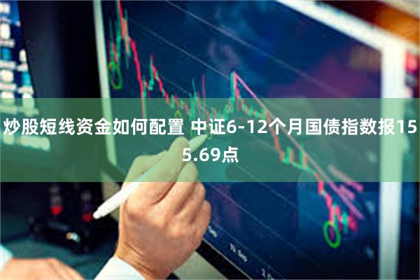 炒股短线资金如何配置 中证6-12个月国债指数报155.69点