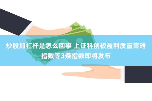 炒股加杠杆是怎么回事 上证科创板盈利质量策略指数等3条指数即将发布