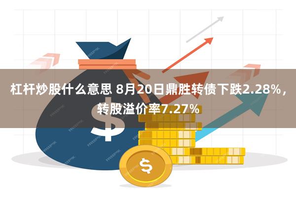 杠杆炒股什么意思 8月20日鼎胜转债下跌2.28%，转股溢价率7.27%