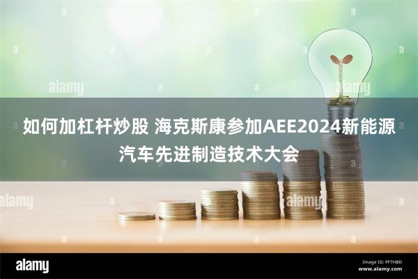 如何加杠杆炒股 海克斯康参加AEE2024新能源汽车先进制造技术大会