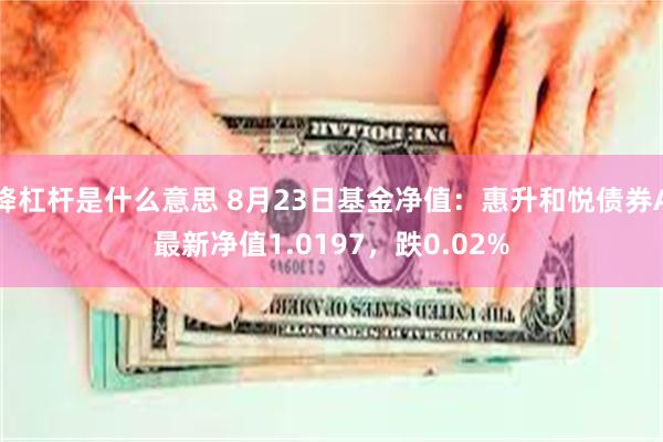 降杠杆是什么意思 8月23日基金净值：惠升和悦债券A最新净值1.0197，跌0.02%