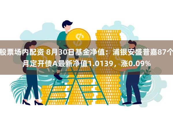 股票场内配资 8月30日基金净值：浦银安盛普嘉87个月定开债A最新净值1.0139，涨0.09%