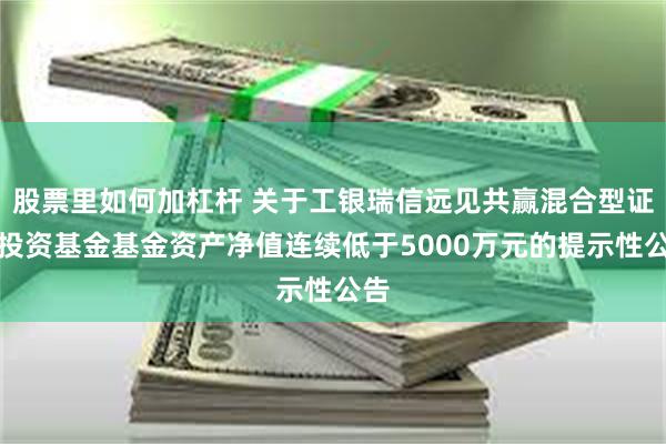 股票里如何加杠杆 关于工银瑞信远见共赢混合型证券投资基金基金资产净值连续低于5000万元的提示性公告