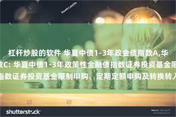 杠杆炒股的软件 华夏中债1-3年政金债指数A,华夏中债1-3年政金债指数C: 华夏中债1-3年政策性金融债指数证券投资基金限制申购、定期定额申购及转换转入业务的公告