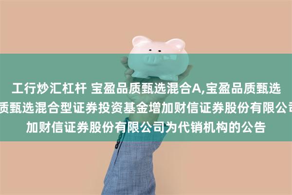 工行炒汇杠杆 宝盈品质甄选混合A,宝盈品质甄选混合C: 关于宝盈品质甄选混合型证券投资基金增加财信证券股份有限公司为代销机构的公告