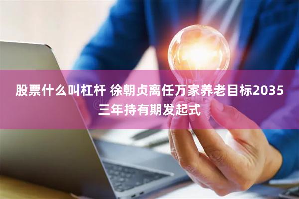 股票什么叫杠杆 徐朝贞离任万家养老目标2035三年持有期发起式