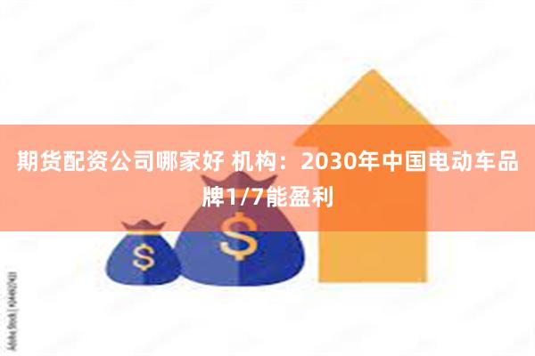 期货配资公司哪家好 机构：2030年中国电动车品牌1/7能盈利