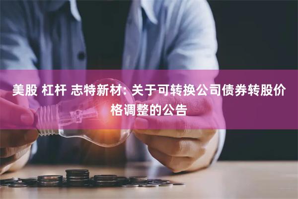 美股 杠杆 志特新材: 关于可转换公司债券转股价格调整的公告