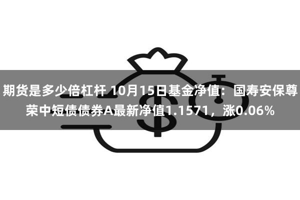 期货是多少倍杠杆 10月15日基金净值：国寿安保尊荣中短债债券A最新净值1.1571，涨0.06%