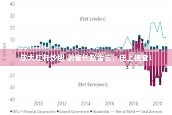 放大杠杆炒股 副省长赵金云，任上被查！