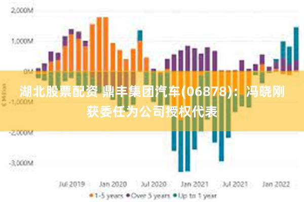 湖北股票配资 鼎丰集团汽车(06878)：冯晓刚获委任为公司授权代表