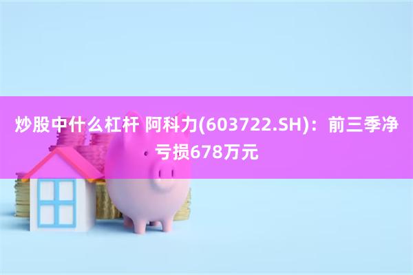 炒股中什么杠杆 阿科力(603722.SH)：前三季净亏损678万元