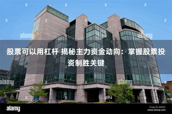 股票可以用杠杆 揭秘主力资金动向：掌握股票投资制胜关键