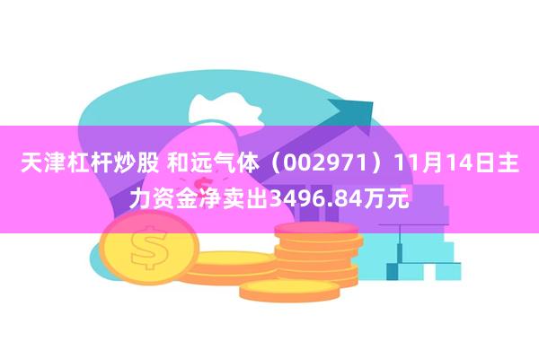 天津杠杆炒股 和远气体（002971）11月14日主力资金净卖出3496.84万元