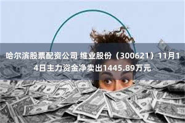 哈尔滨股票配资公司 维业股份（300621）11月14日主力资金净卖出1445.89万元