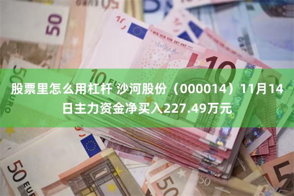 股票里怎么用杠杆 沙河股份（000014）11月14日主力资金净买入227.49万元