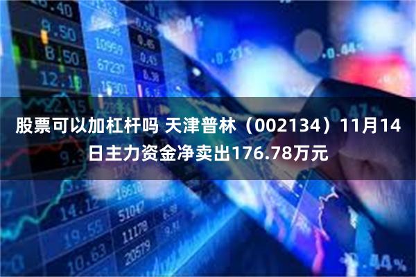 股票可以加杠杆吗 天津普林（002134）11月14日主力资金净卖出176.78万元