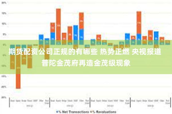 期货配资公司正规的有哪些 热势正燃 央视报道 普陀金茂府再造金茂级现象