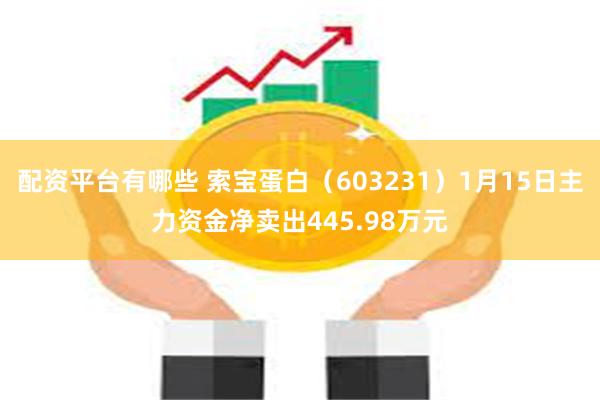 配资平台有哪些 索宝蛋白（603231）1月15日主力资金净卖出445.98万元